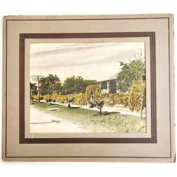 1920s Hand Colored Tinted Photograph Georgia House Unsigned Framed DWWW14 - Picture 2 of 2